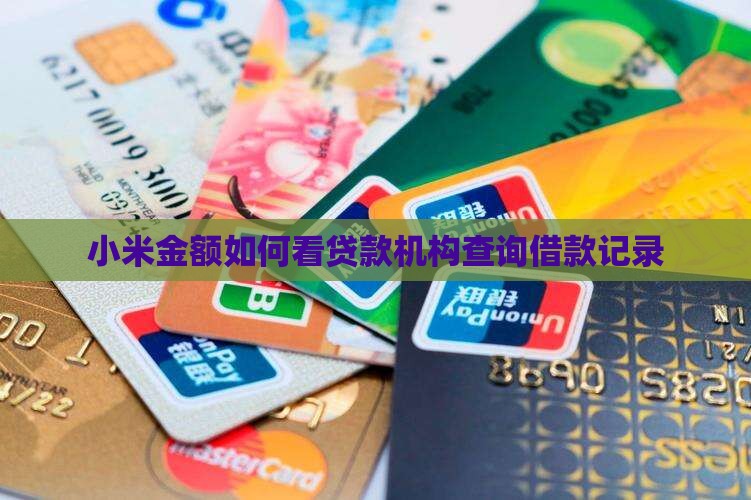 小米金额如何看贷款机构