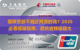 哪种贷款不能还网贷的钱