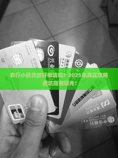 农行小额贷款好申请吗 农行小额贷款好申请吗