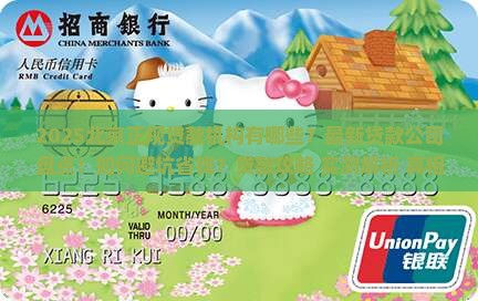 北京正规的贷款机构有哪些公司