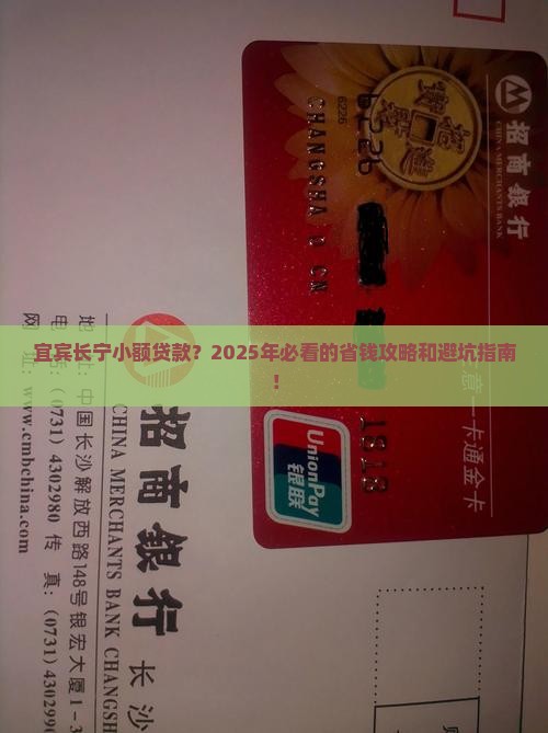 宜宾长宁小额贷款