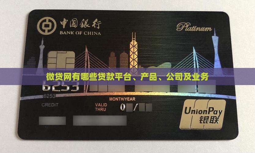 微贷网有哪些贷款