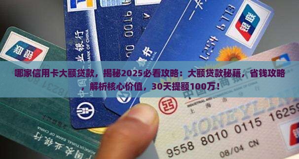 哪家信用卡大额贷款