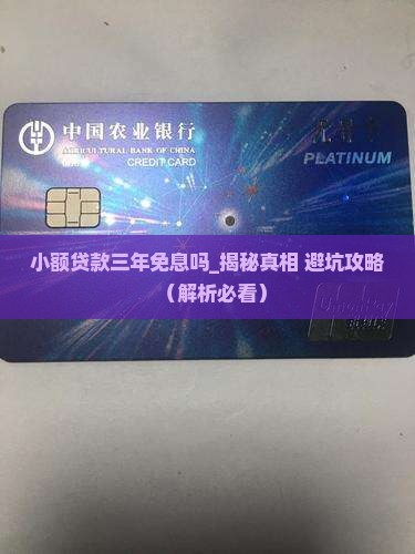 小额贷款三年免息吗