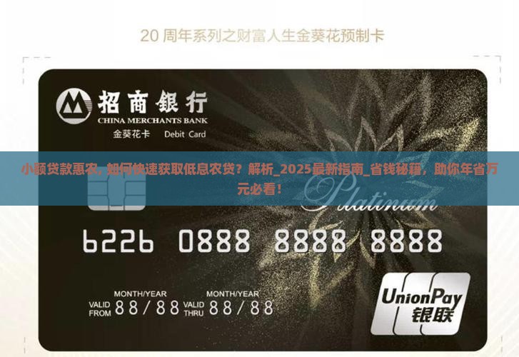 小额贷款惠农