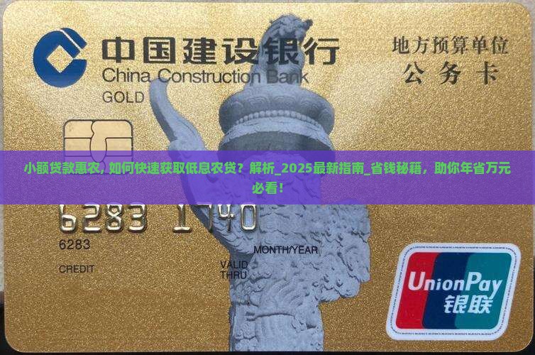 小额贷款惠农