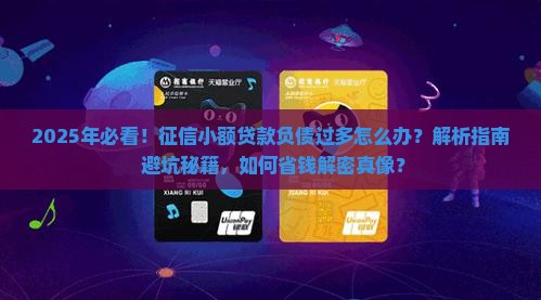 征信小额贷款负债过多