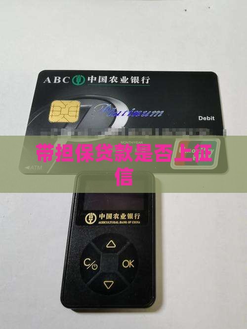 带担保费的贷款上征信吗