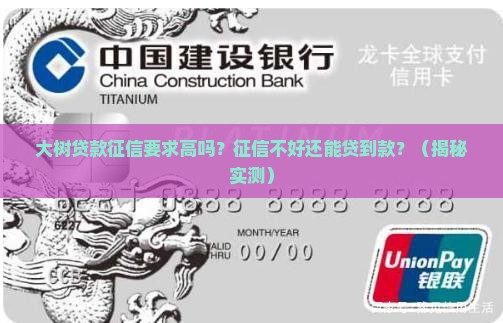 大树贷款对征信要求高吗