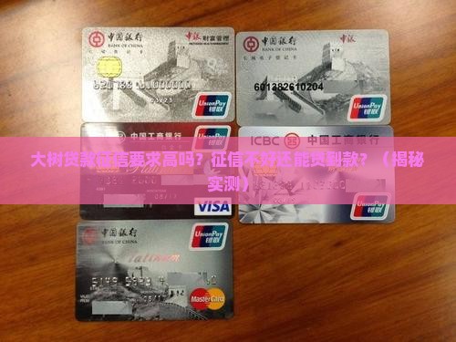 大树贷款对征信要求高吗