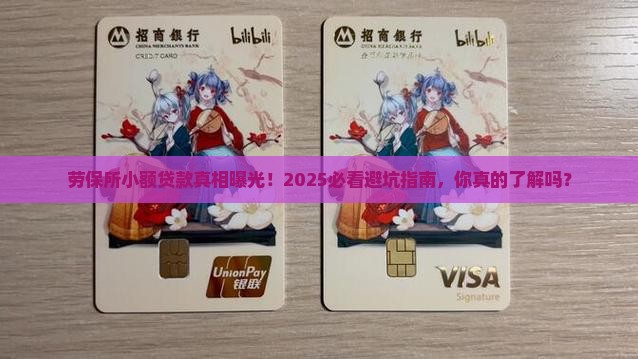 劳保所小额贷款简讯