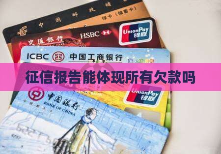 征信可以体现所有贷款吗