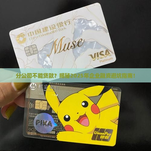 分公司不能贷款