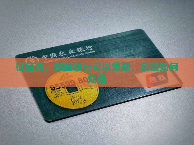 征信花哪个银行可以贷款