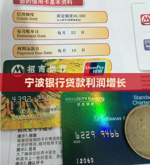 宁波银行贷款利润