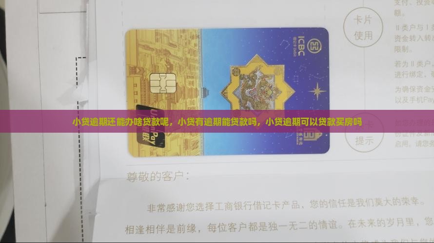 小贷逾期还能办啥贷款