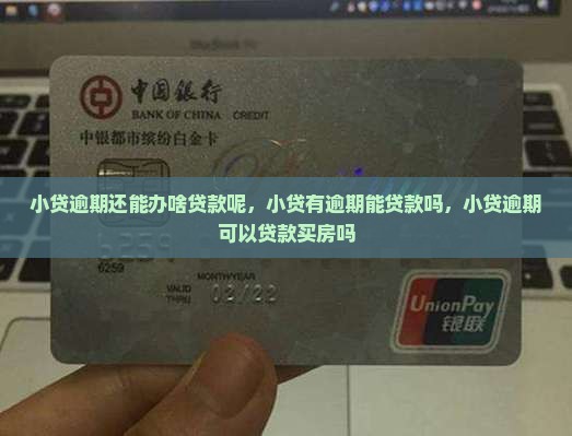 小贷逾期还能办啥贷款