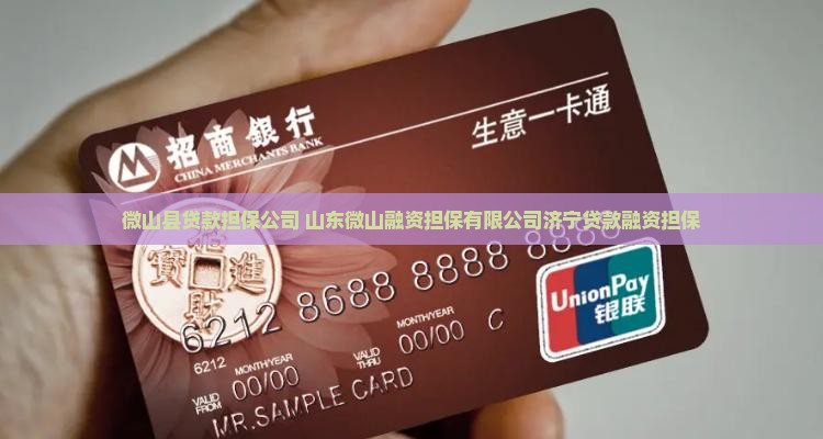 微山县贷款担保公司