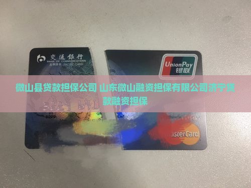 微山县贷款担保公司