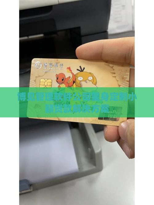 博瞻智库小额贷款