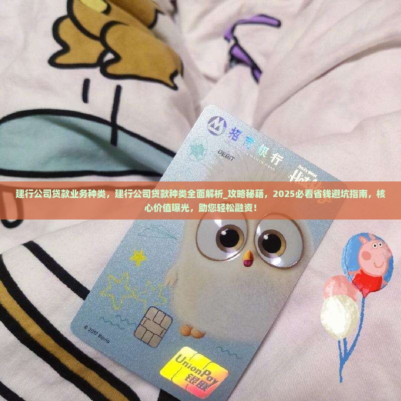 建行公司贷款业务种类
