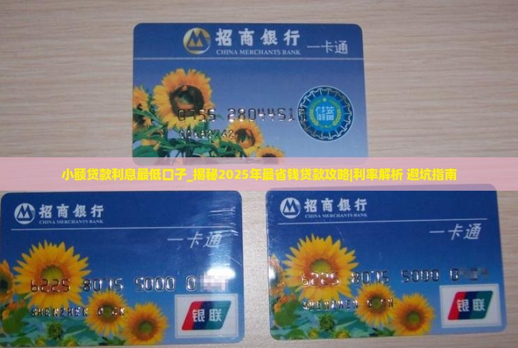 小额贷款利息最低口子