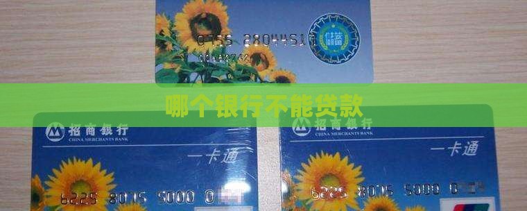 哪个银行不能贷款