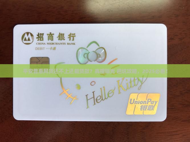 平安普惠的网贷没还能贷款吗