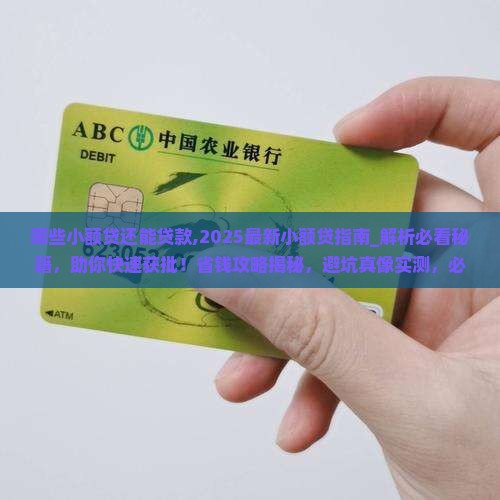 哪些小额贷还能贷款