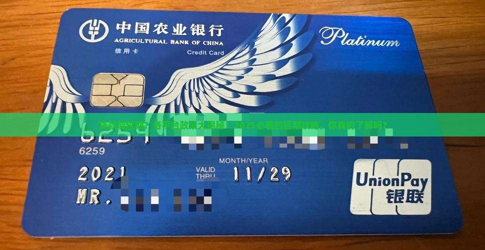 各平台贷款延期政策