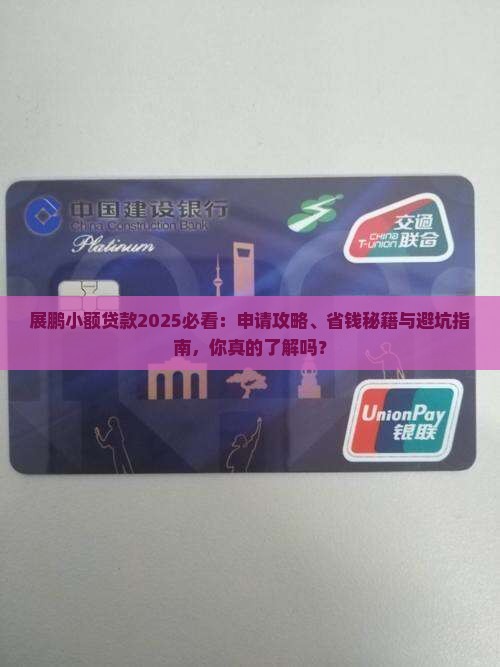 展鹏小额贷款