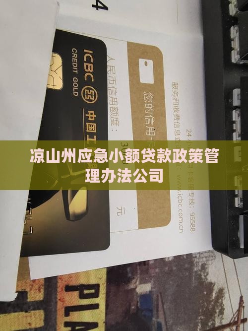 凉山州应急小额贷款