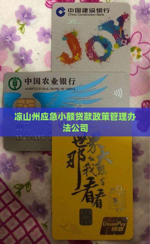 凉山州应急小额贷款