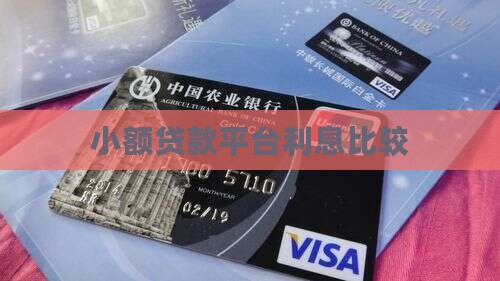 小额贷款平台利息比较