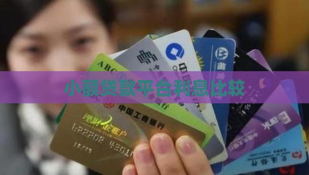 小额贷款平台利息比较