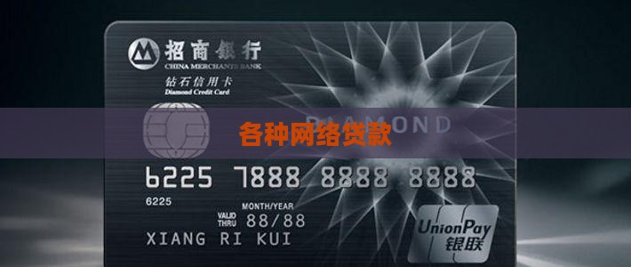 各种网络贷款