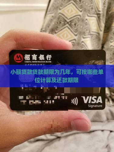小额贷款贷款期限为