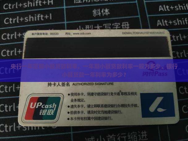 央行一年定期小额贷款