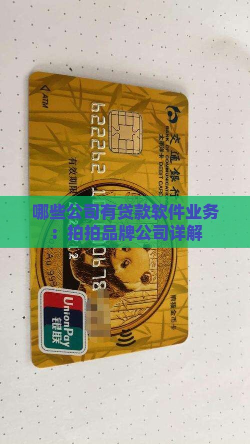 哪些公司有贷款软件业务