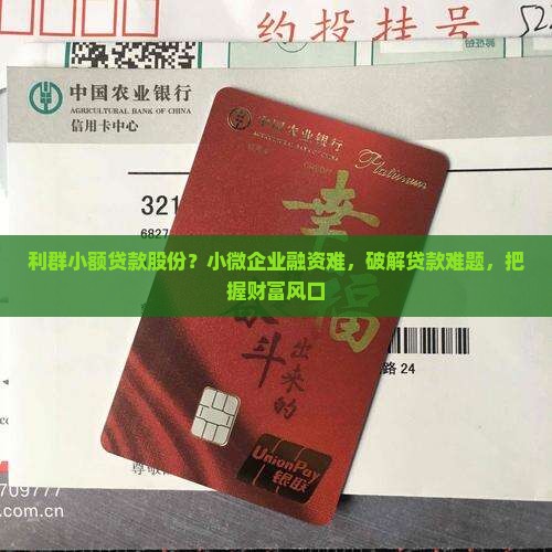 利群小额贷款股份