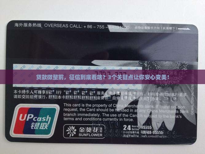 微整贷款要看征信吗