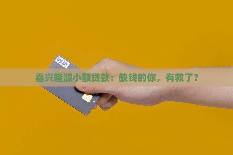嘉兴隆源小额贷款