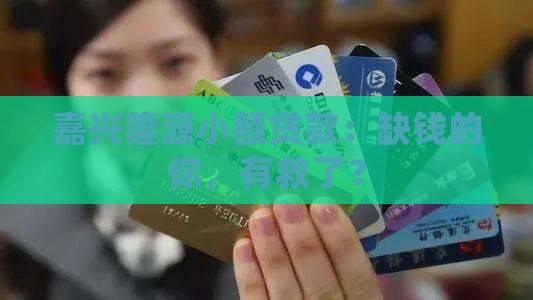 嘉兴隆源小额贷款