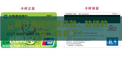 嘉兴隆源小额贷款