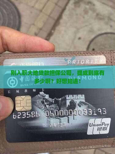 大地贷款担保公司给员工提成多少