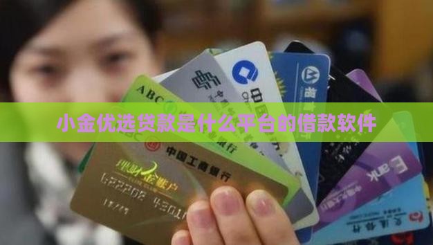 小金优选贷款是什么平台
