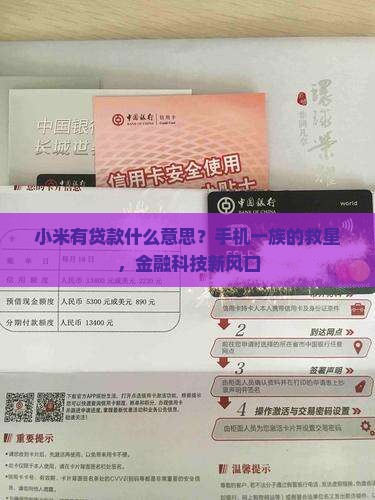 小米有贷款什么意思