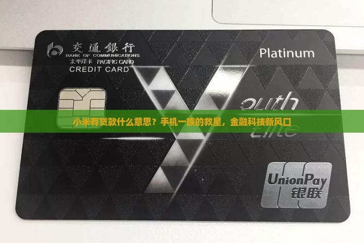 小米有贷款什么意思