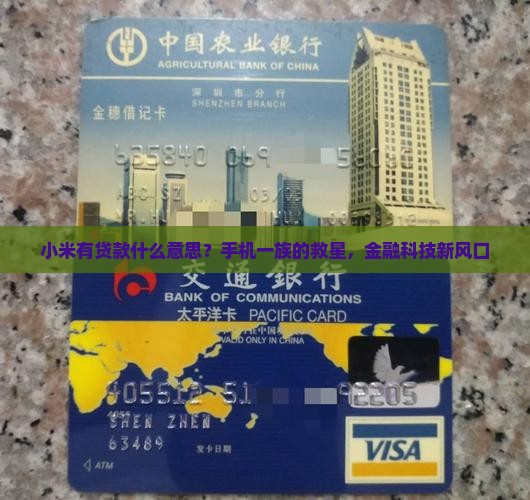小米有贷款什么意思