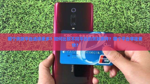 哪个贷款平台比较多一点